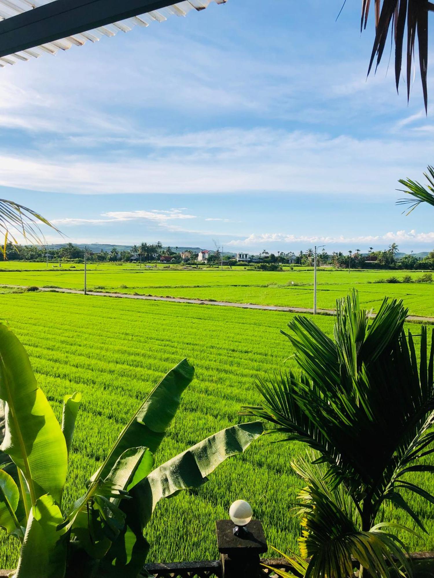 Countryside Homestay クアンガイ エクステリア 写真