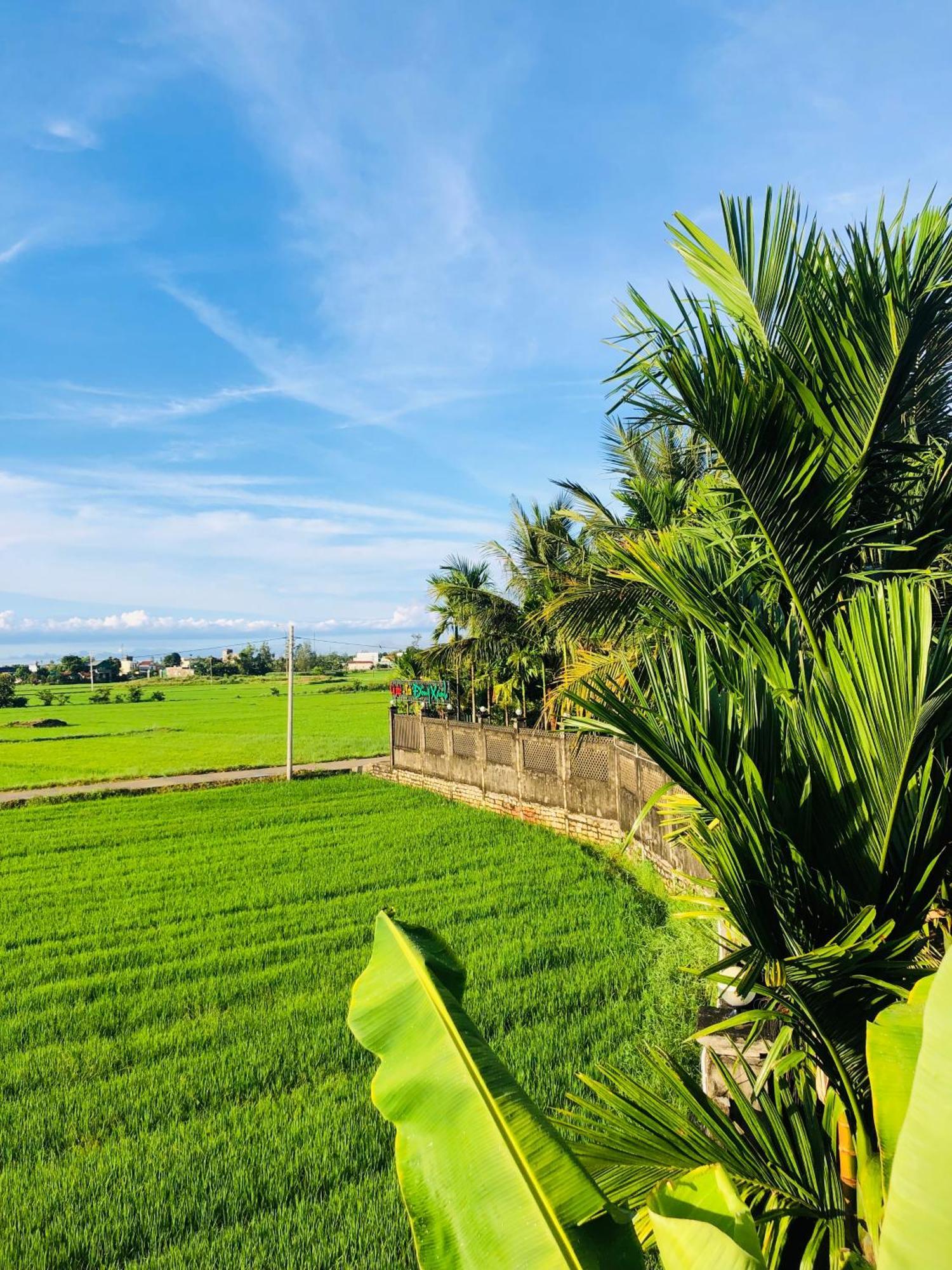 Countryside Homestay クアンガイ エクステリア 写真